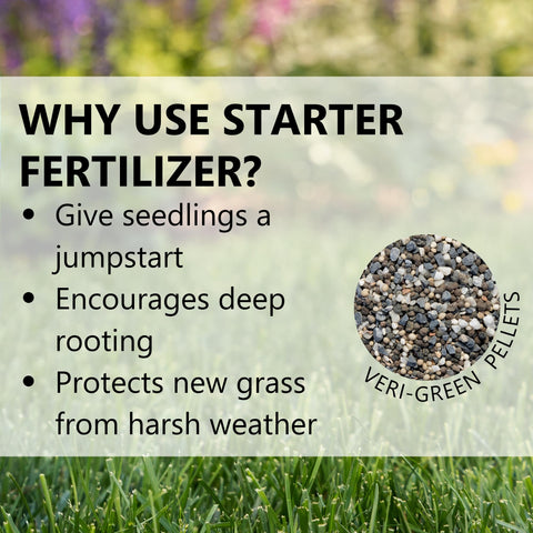 Jonathan Green césped establecido tras aplicación, mayor densidad visible