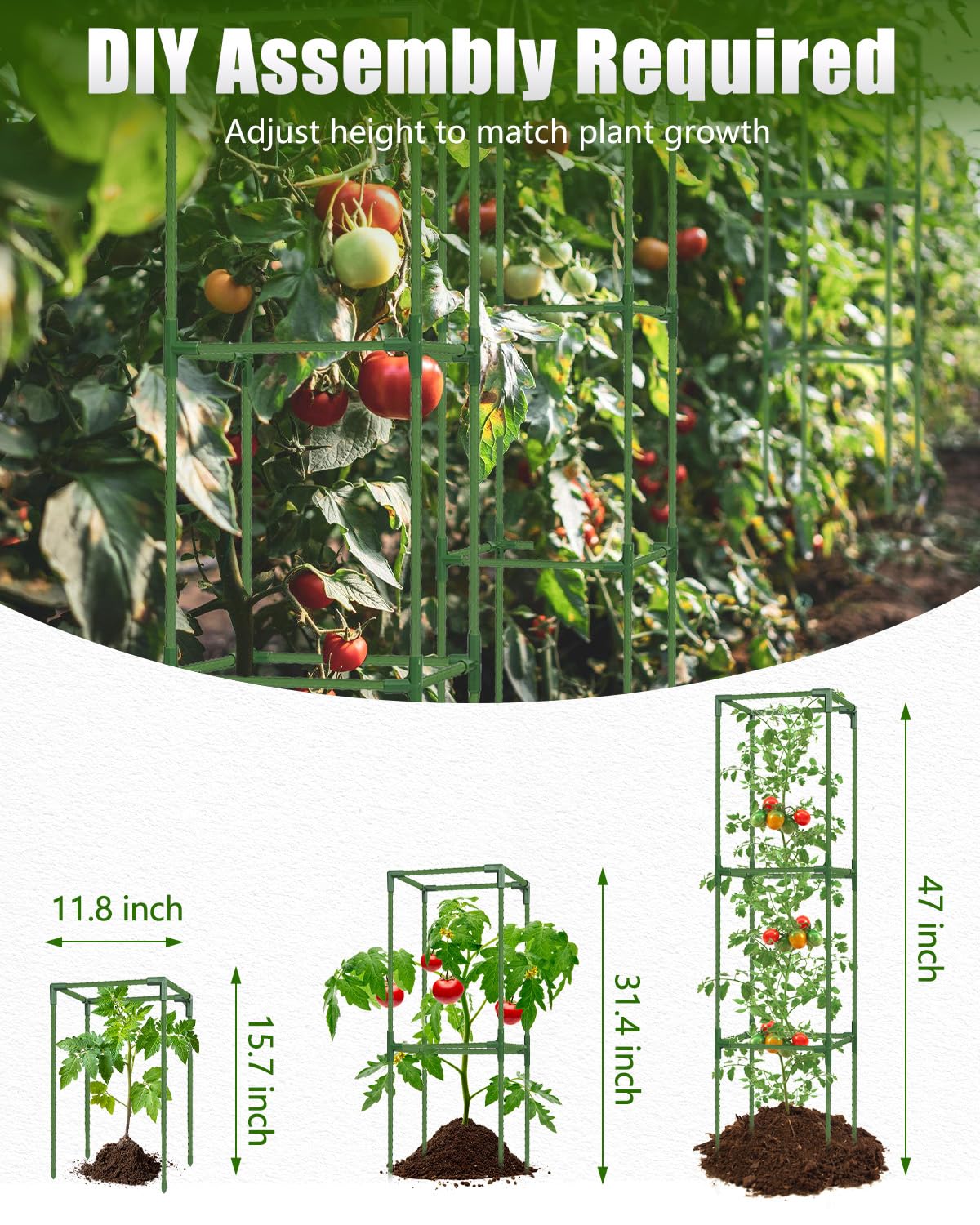 joyhalo comparación de tamaño junto a maceta grande para escala visual