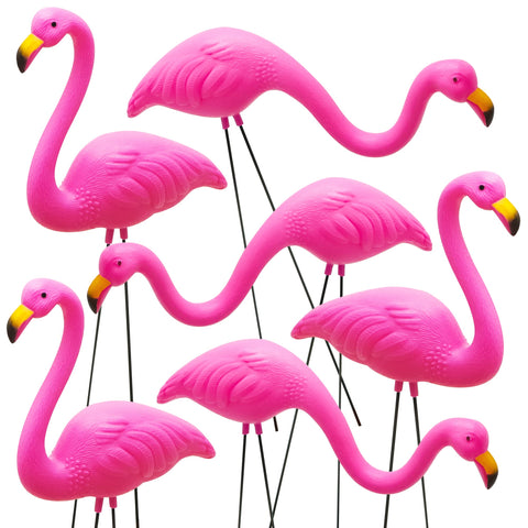 JOYIN flamencos frente del paquete mostrando seis unidades y color vibrante