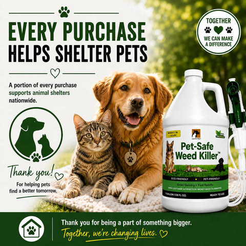 Just For Pets aplicado en borde de acera para control de maleza