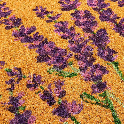 Juvale fibras de coir secándose tras limpieza para mantenimiento fácil