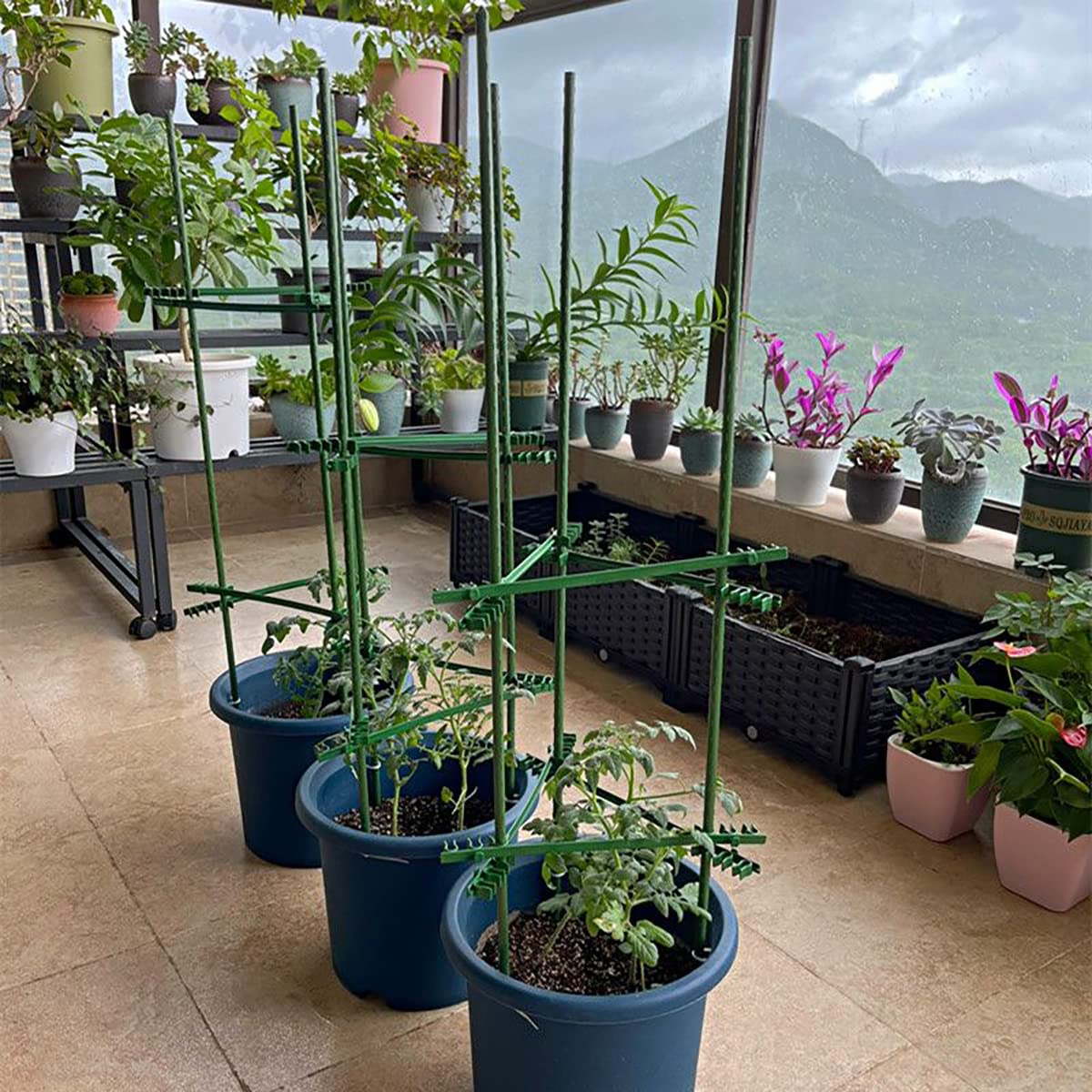 Jxrhy empaque de 20 estacas ideal para huertos y múltiples plantas
