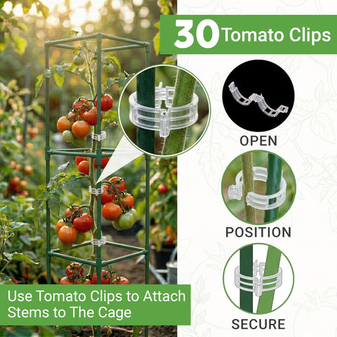 K-Brands jaula soportando plantas de tomate cargadas, facilita cosecha
