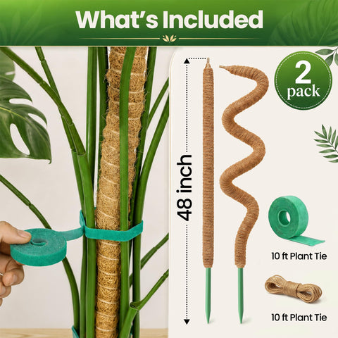 K-Brands textura de fibra de coco que favorece raíces aéreas
