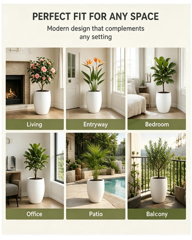 Kante comparación de tamaño con silla para visualizar escala y proporción