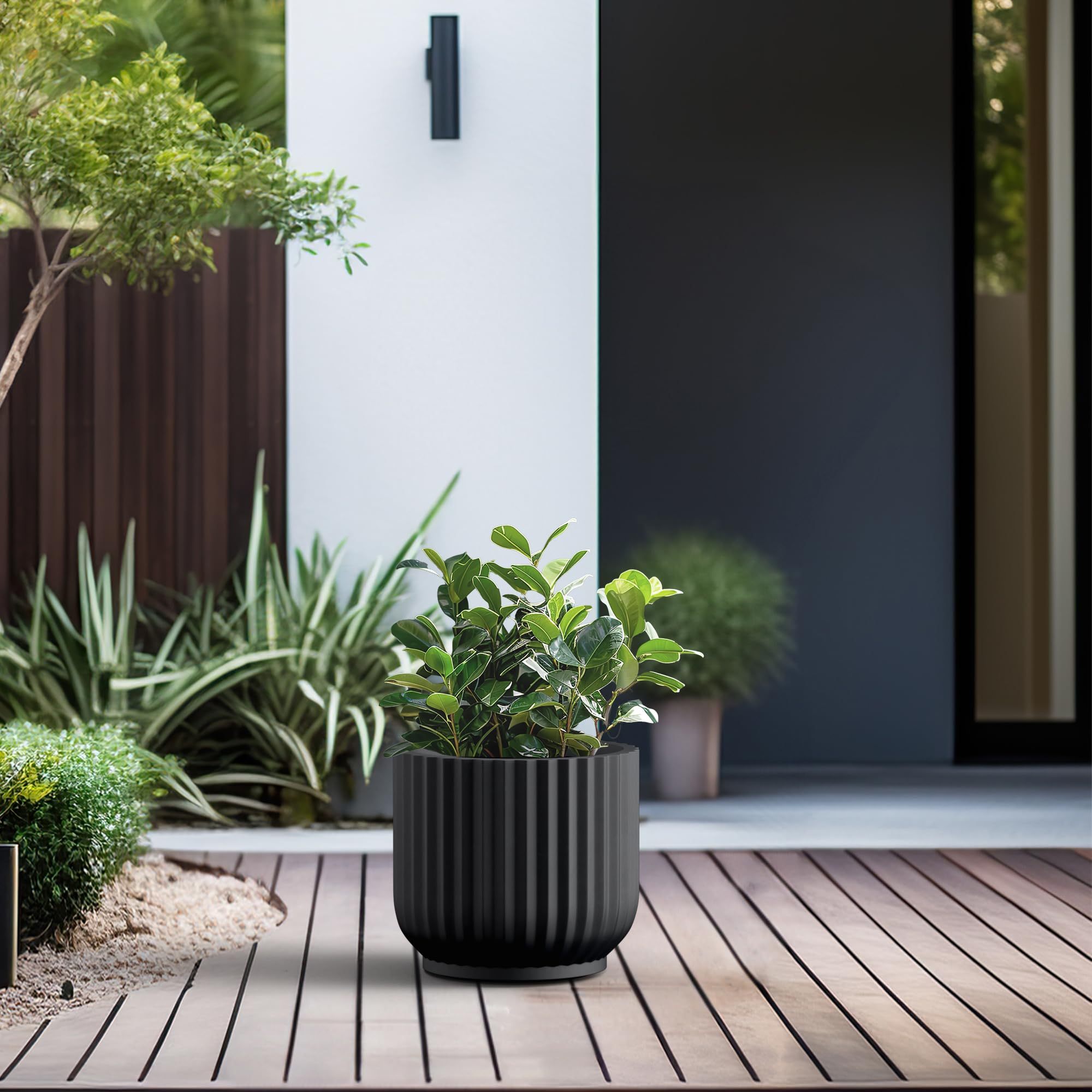 Kante en uso con suculentas para un arreglo decorativo resistente