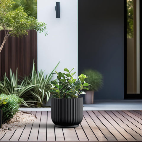 Kante en uso con suculentas para un arreglo decorativo resistente