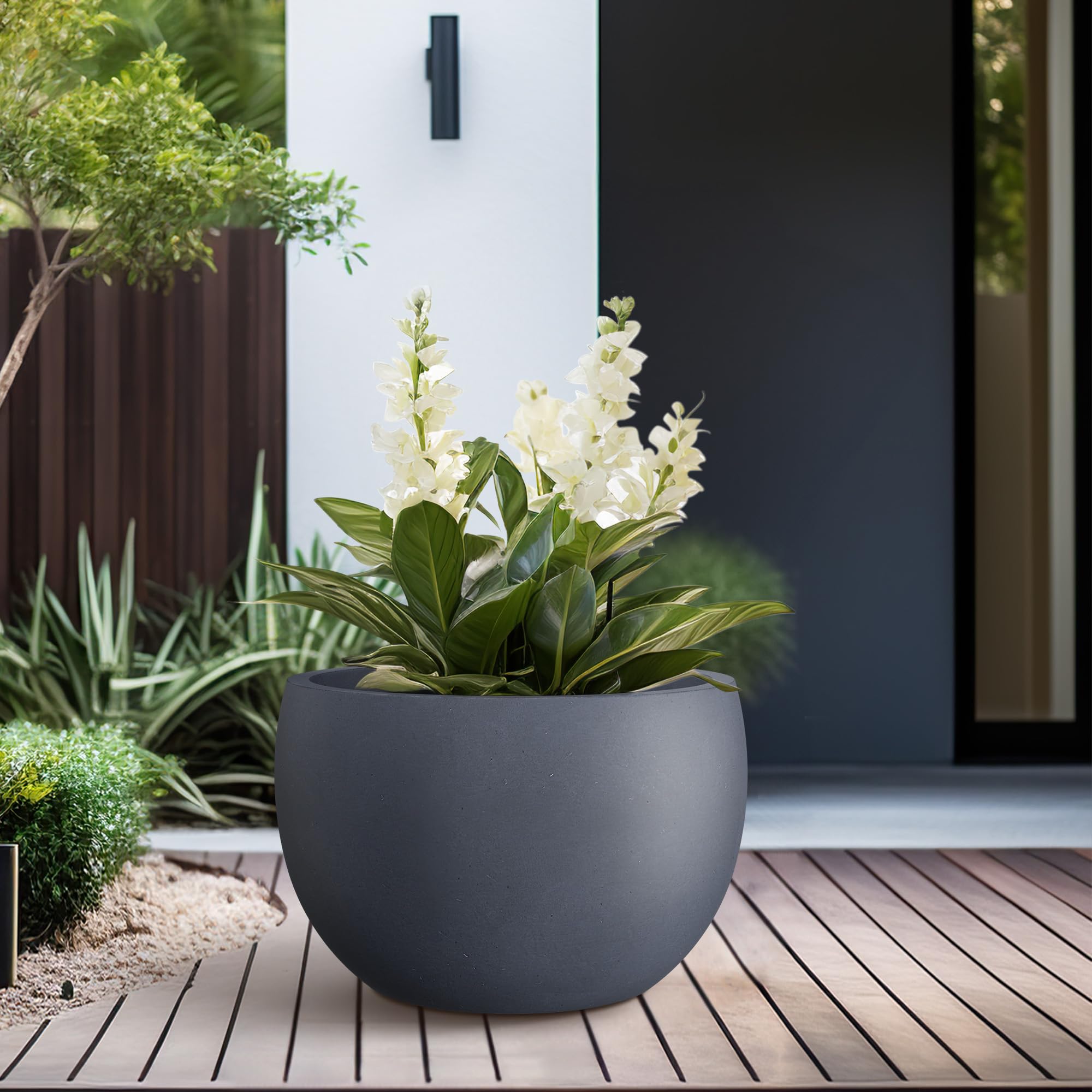 Kante maceta junto a una silla para comparar tamaño, ayuda a visualizar escala