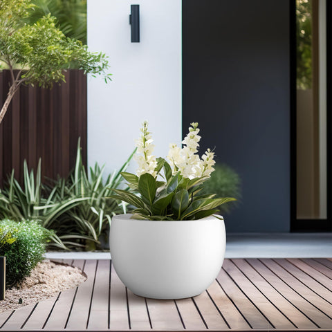 Kante maceta con suculentas aspecto decorativo y funcional