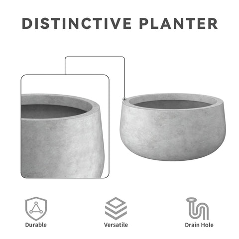 Kante maceta con suculentas, optimiza espacio y estética decorativa
