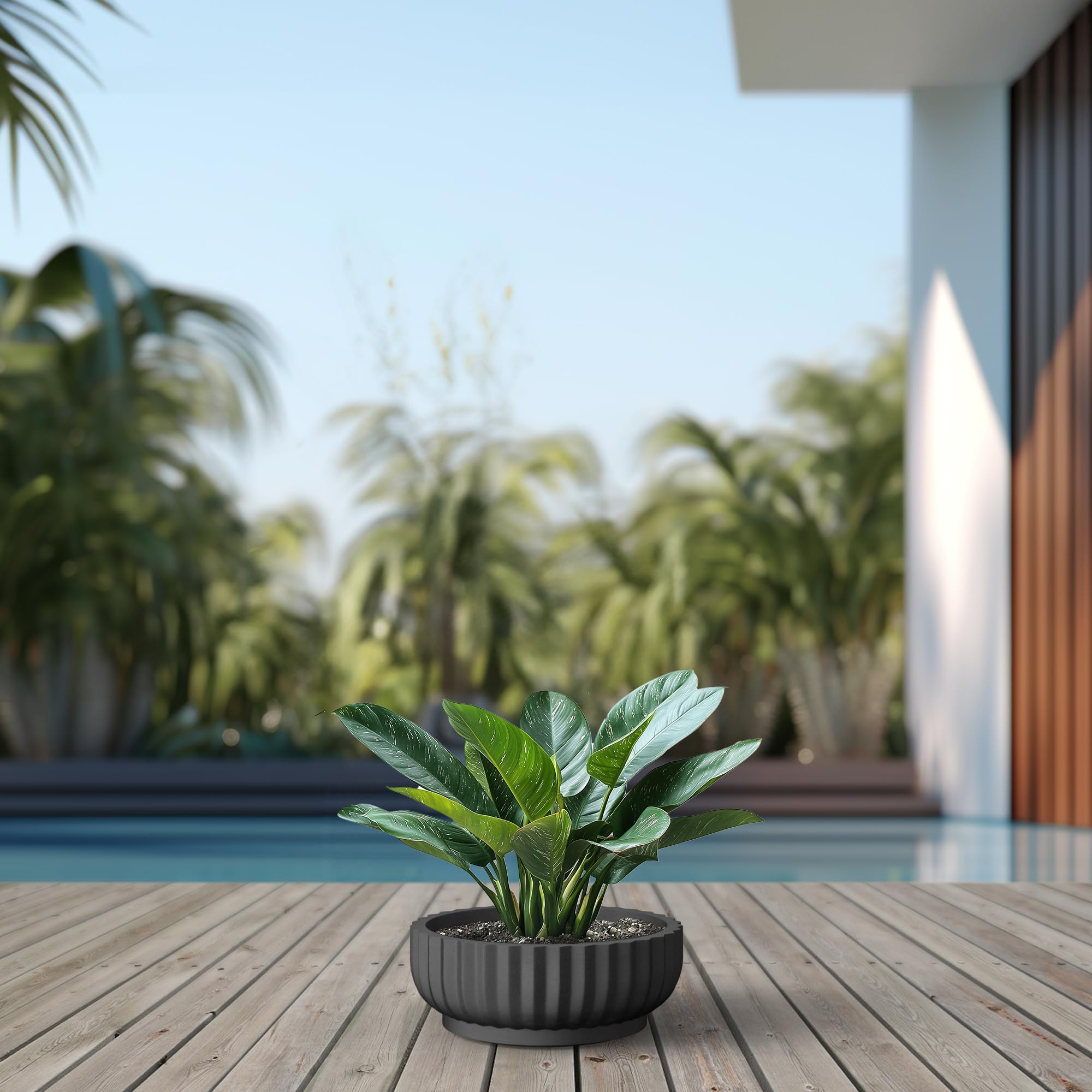 Kante maceta en patio moderno, resistente al clima exterior