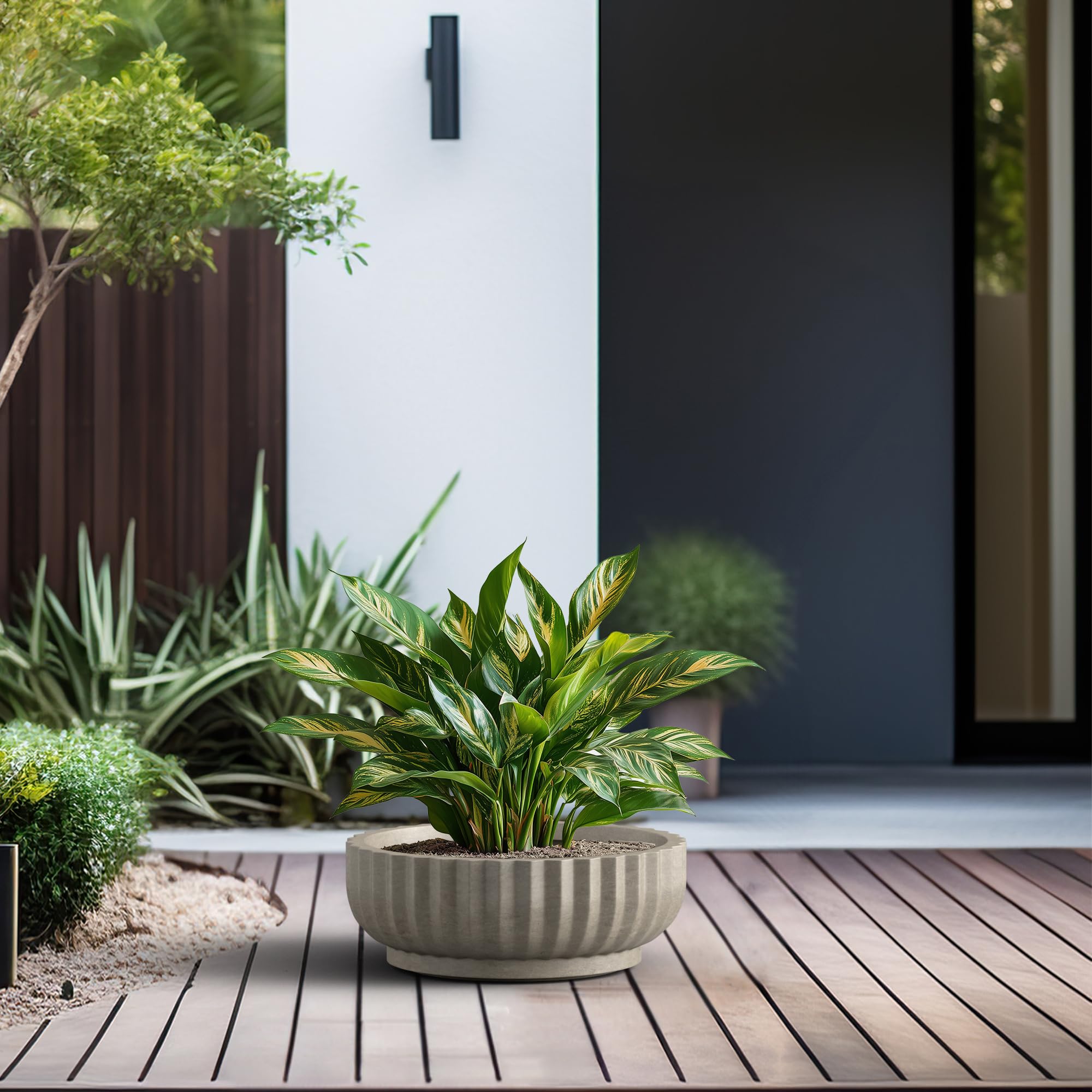 Kante maceta usada en salón para decorar con plantas y facilitar trasplantes