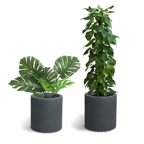 Kante macetero plantado con suculentas para inspiración de uso