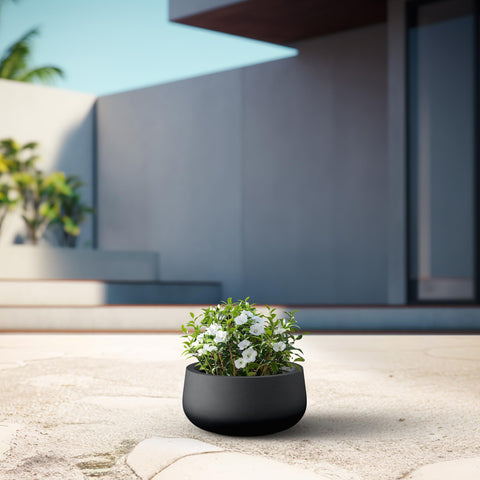 Kante maceta interior con suculentas que facilita un arreglo decorativo sano