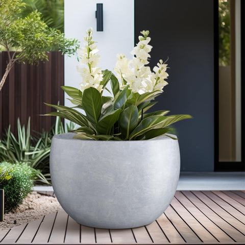 Kante vista superior con plantas mostrando amplio espacio útil