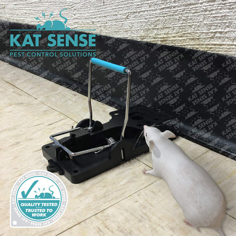 Kat Sense comparación de tamaño en mano, muestra escala real