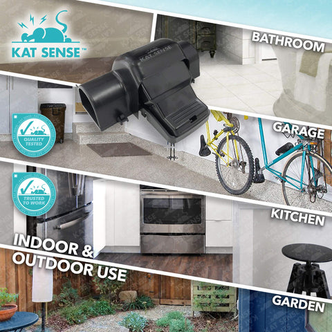 Kat Sense enfoque en materiales duraderos que facilitan limpieza y reutilización