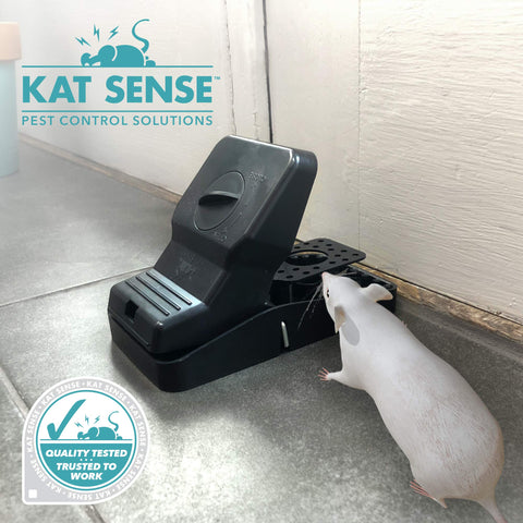 Kat Sense trampa situada en jardín para control de ratas y ardillas de forma segura