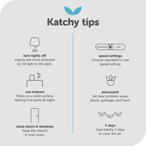 KATCHY en uso sobre encimera de cocina atrapando mosquitas de la fruta