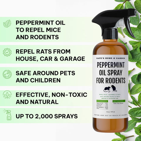 Kate Naturals atomizador cercano que facilita aplicación puntual y control del spray