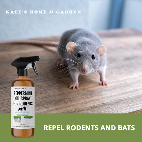 Kate Naturals rociado en torno a cubo de basura para evitar roedores en exterior