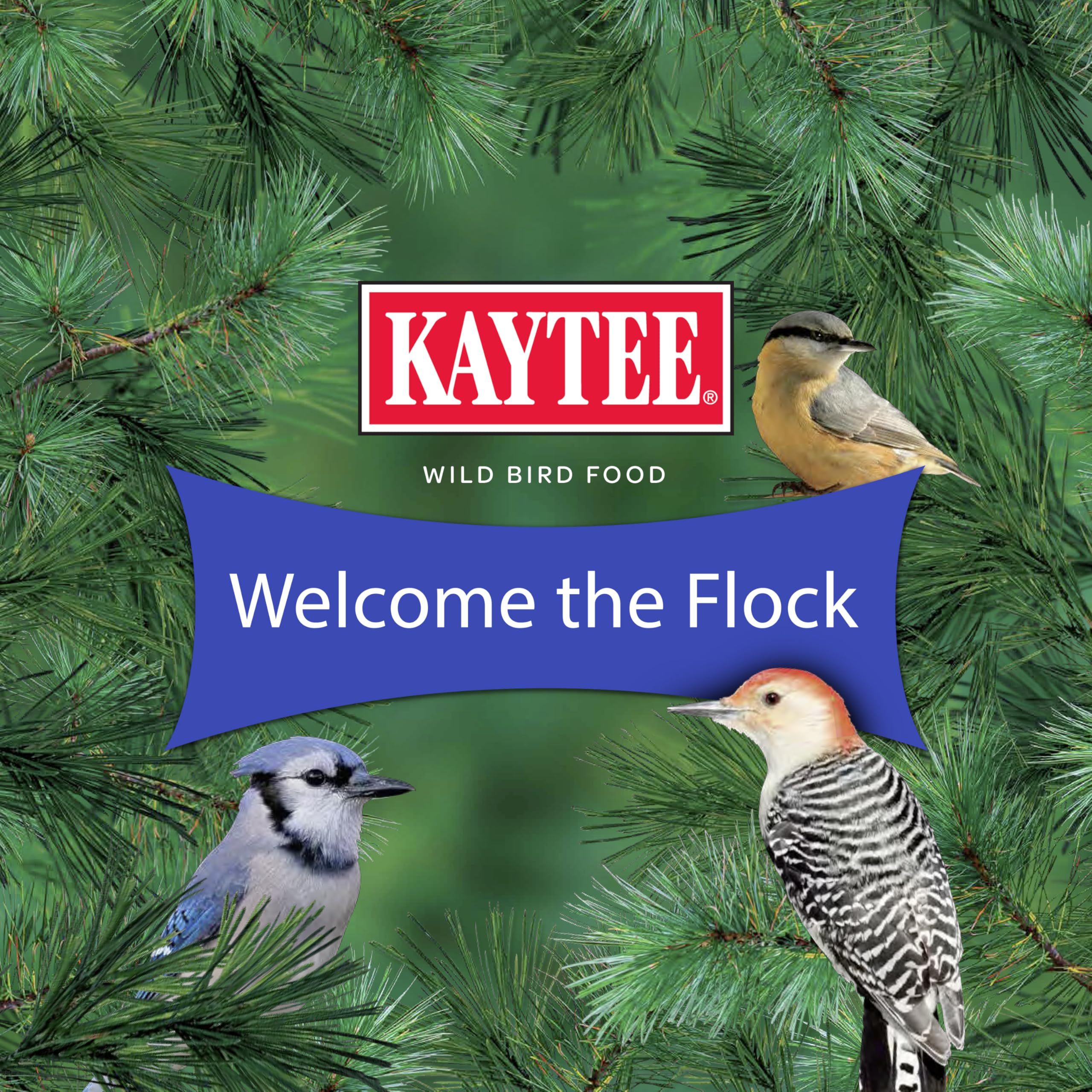 Kaytee en ambiente lifestyle, crea un oasis para aves en casa