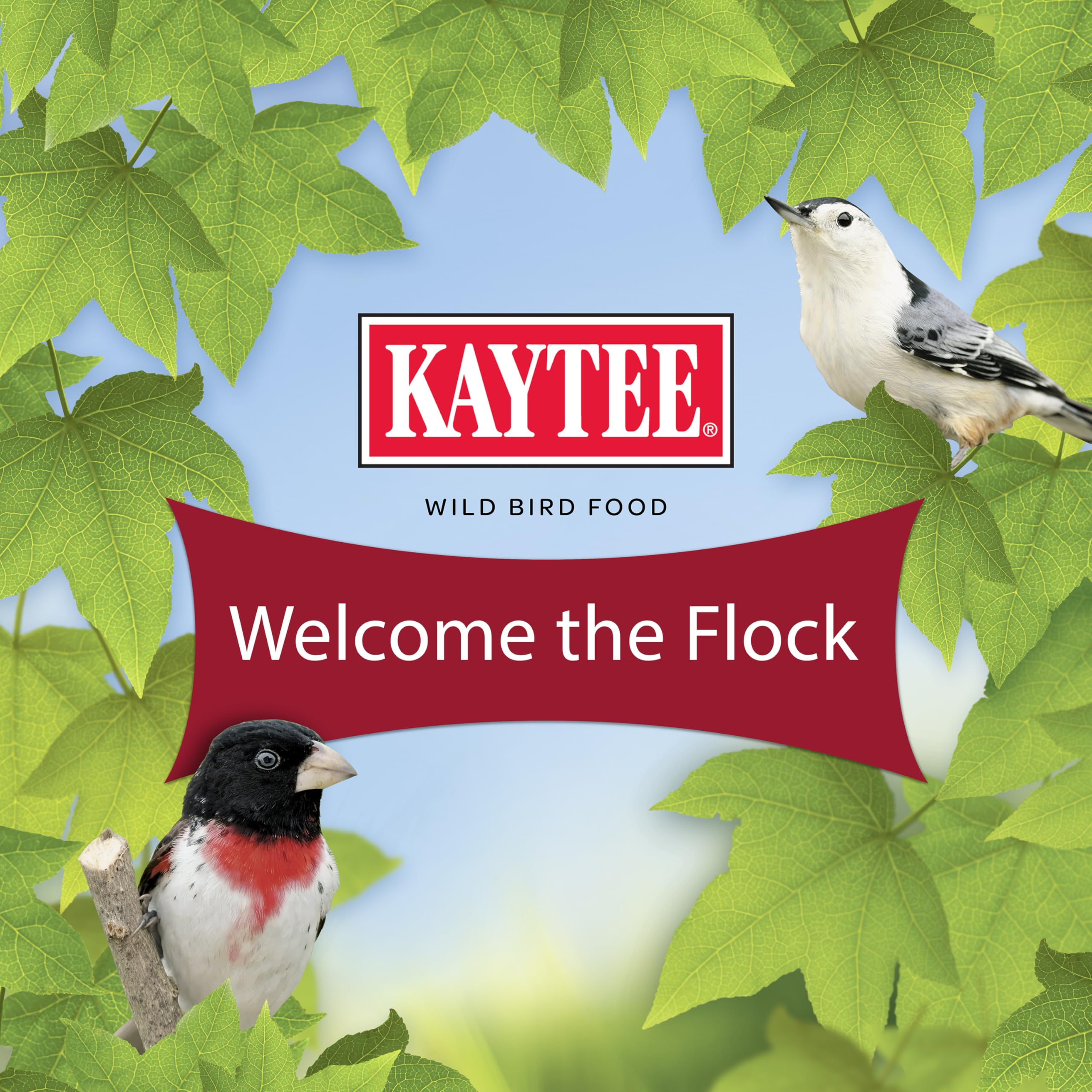 Kaytee ambiente de vida silvestre en patio promoviendo observación