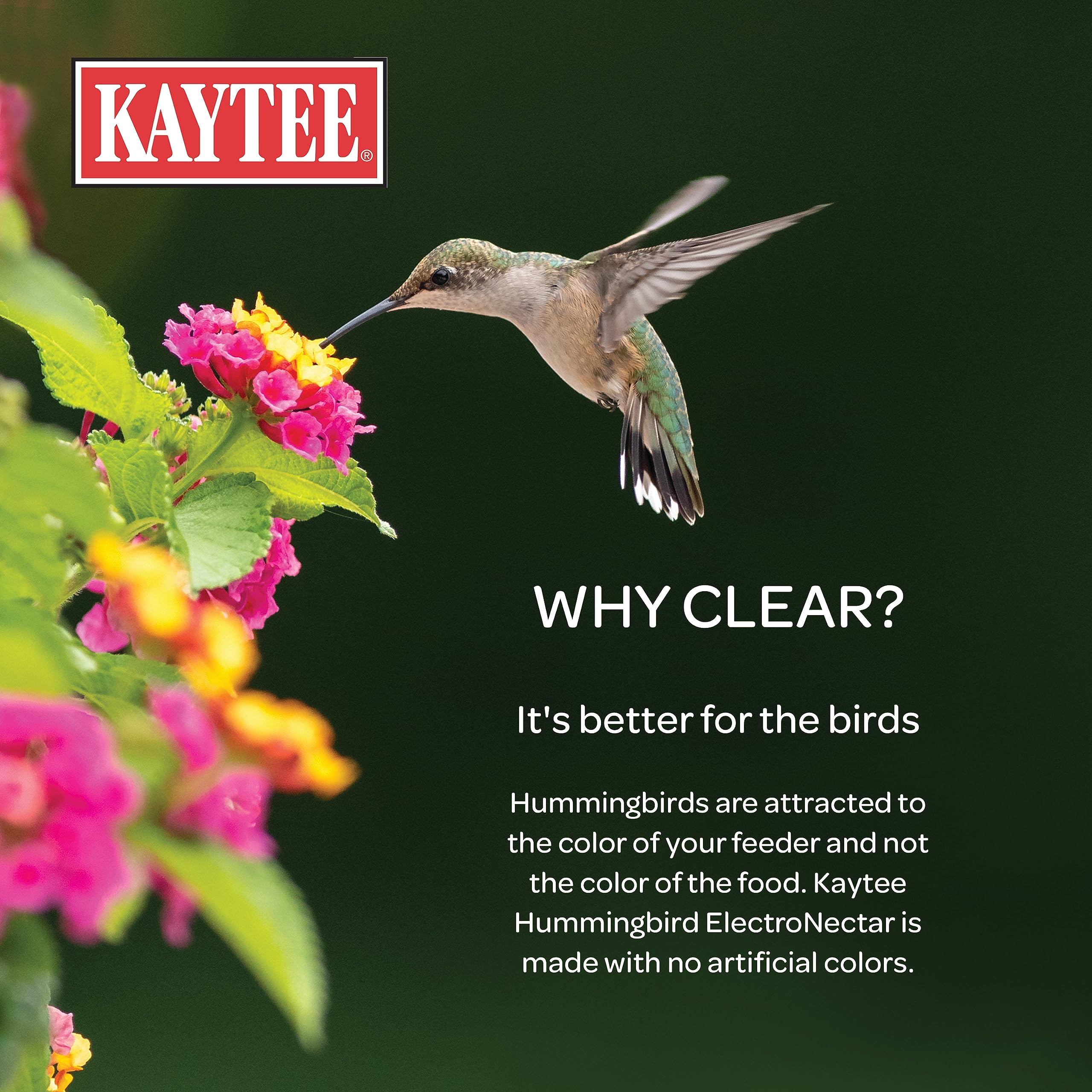 Kaytee comedero con colibrí disfrutando del néctar energético