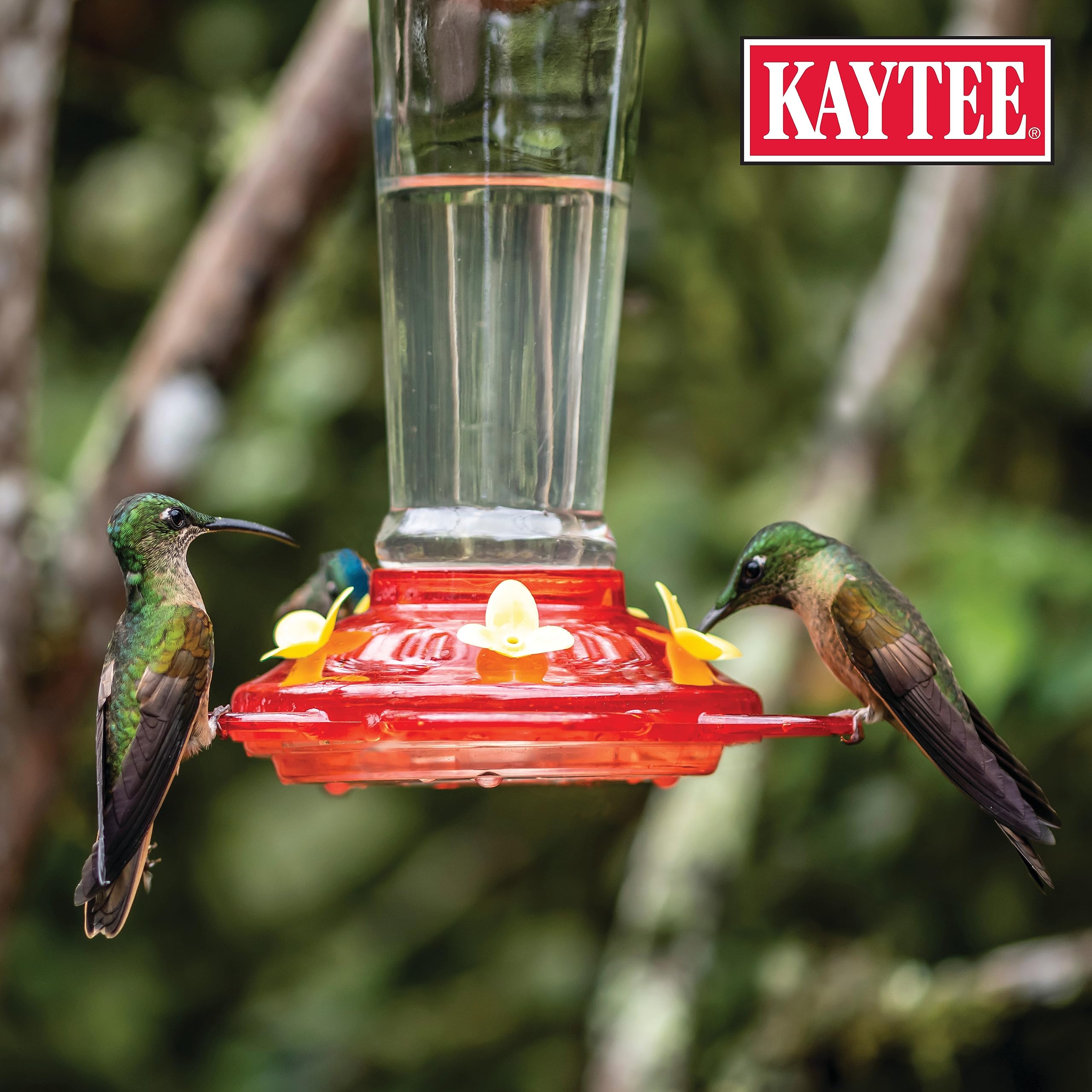 Kaytee etiqueta con instrucciones claras de mezcla y conservación
