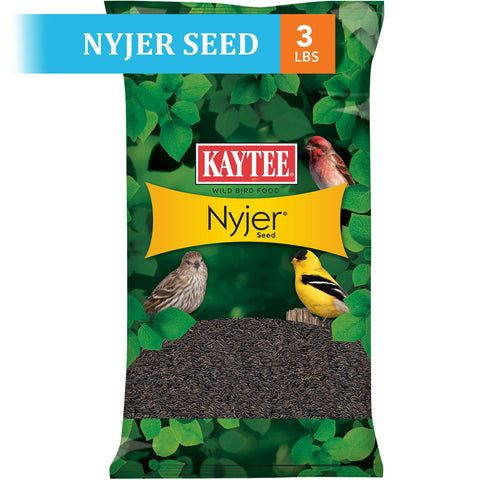 Kaytee semillas Nyjer en primer plano con textura nutritiva