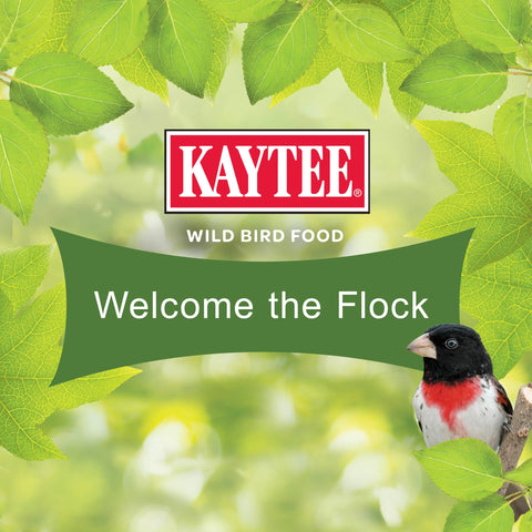 Kaytee textura de mezcla cercana, muestra calidad y variedad