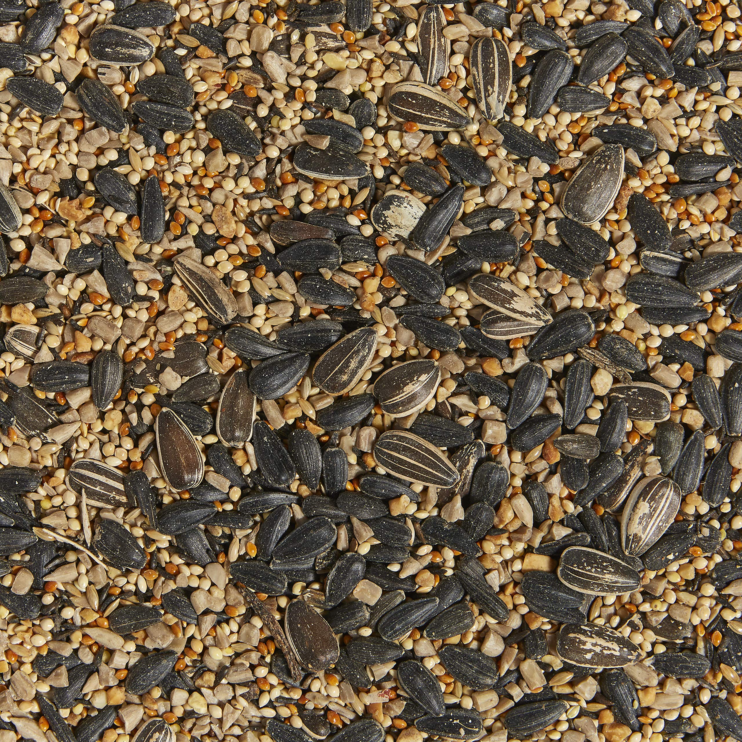 Kaytee textura de semillas en detalle para mayor aceptación por aves