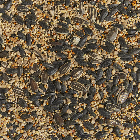 Kaytee textura de semillas en detalle para mayor aceptación por aves