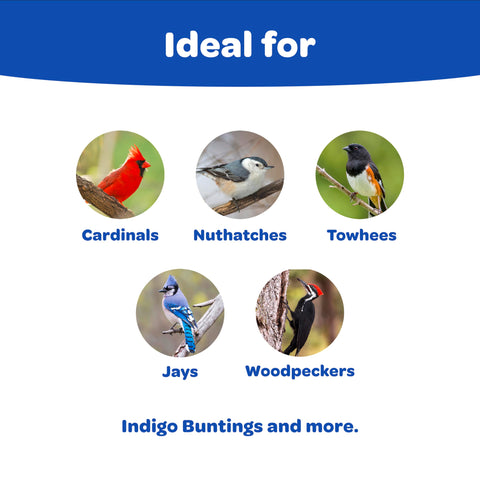 Kaytee trozos de cacahuete sin cáscara, alta energía para aves