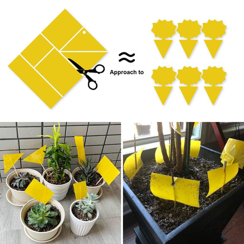 Kensizer detalle adhesivo doble cara captura más insectos