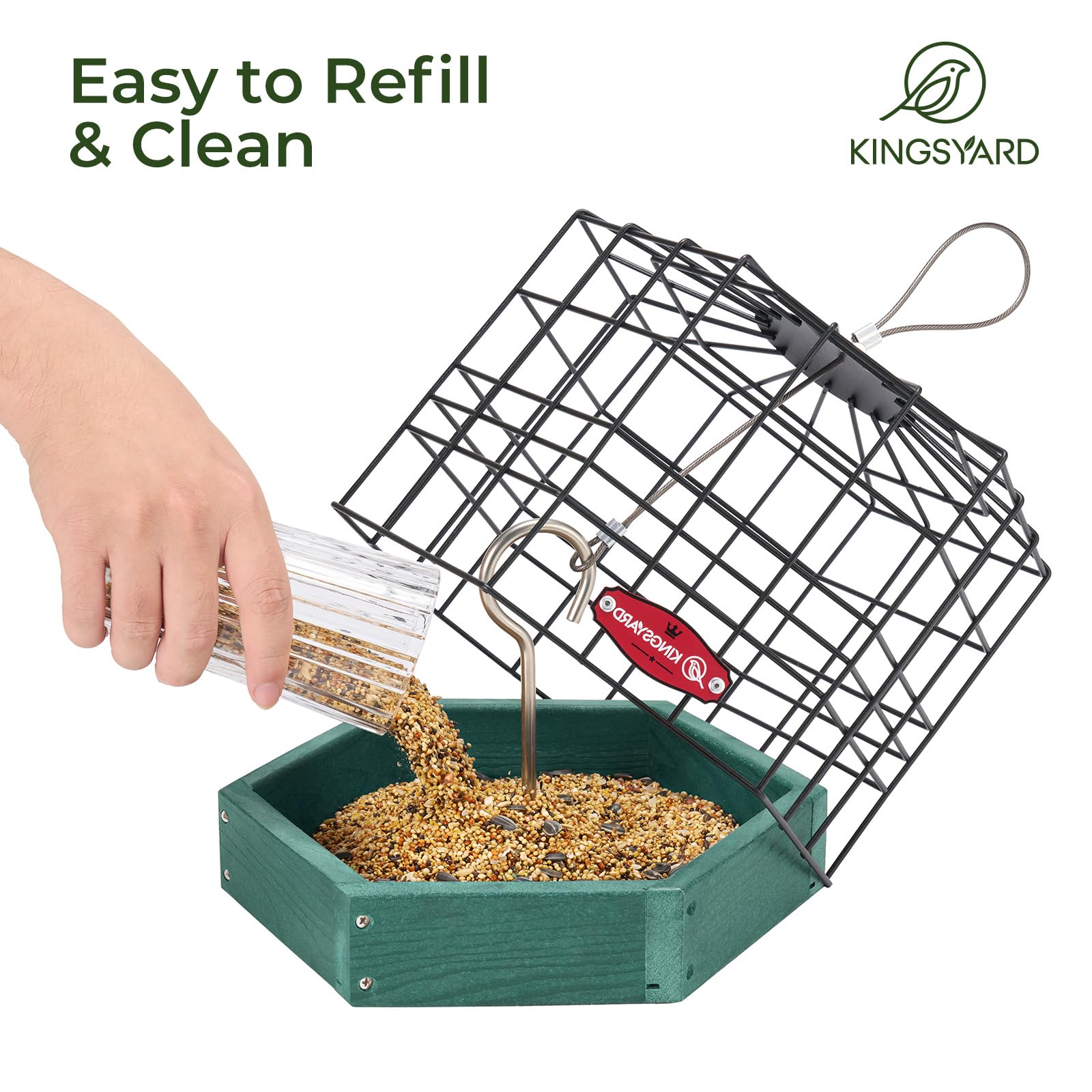 Kingsyard aves pequeñas alimentándose en la plataforma, observación clara