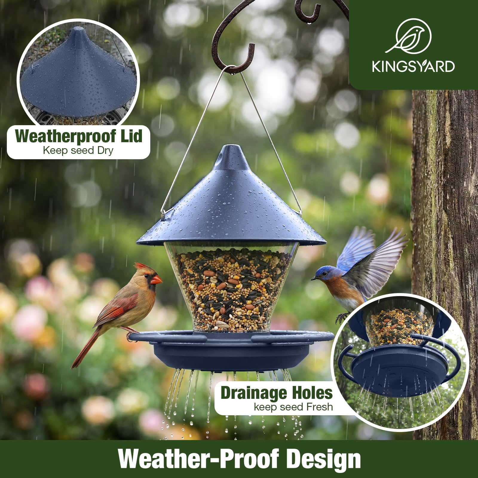 Kingsyard aves alimentándose en la percha demostrando capacidad para varias aves