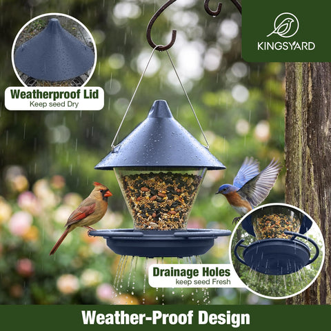 Kingsyard aves alimentándose en la percha demostrando capacidad para varias aves