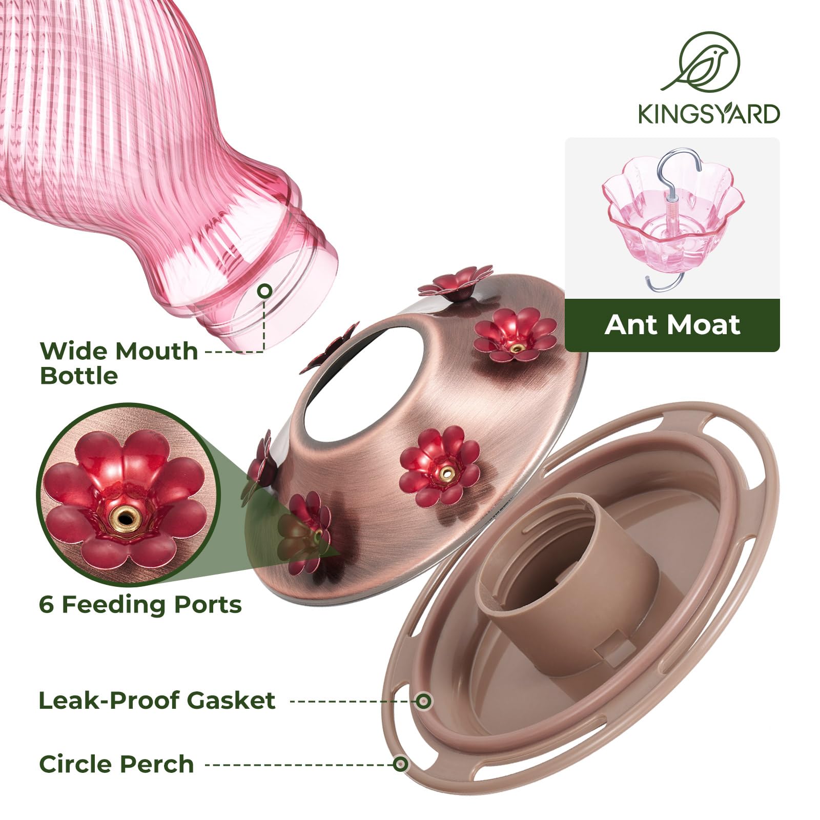 Kingsyard detalle de puertos florales que favorecen alimentación de colibríes