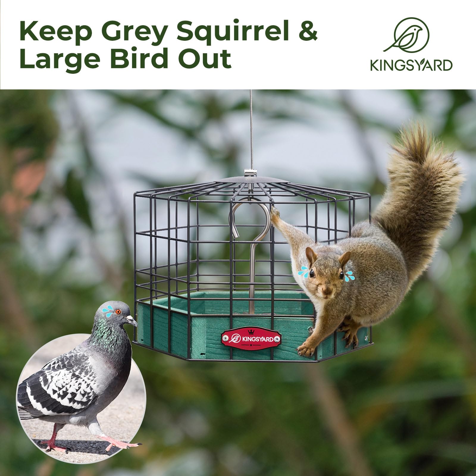Kingsyard colgado en jardín para observación y disfrute de aves