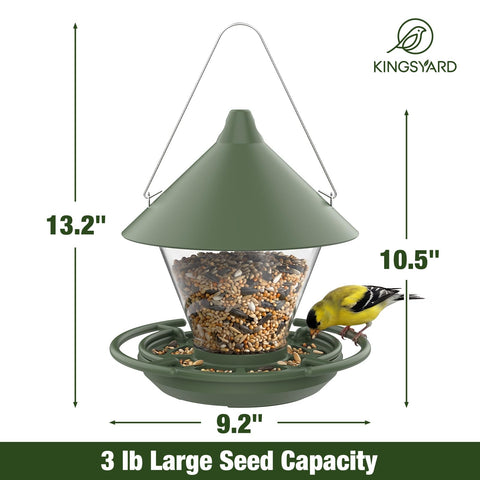 Kingsyard comedero en uso con varias aves atraídas, disfrute cercano