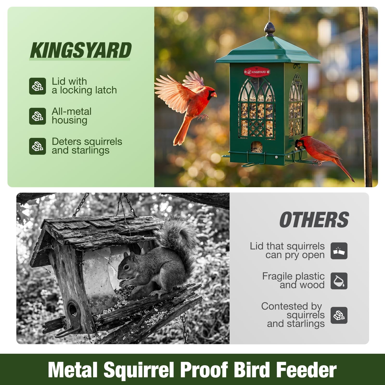 Kingsyard comedero en uso con cardenal, promueve observación cercana