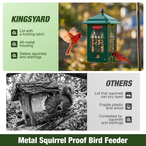 Kingsyard comedero en uso con cardenal, promueve observación cercana