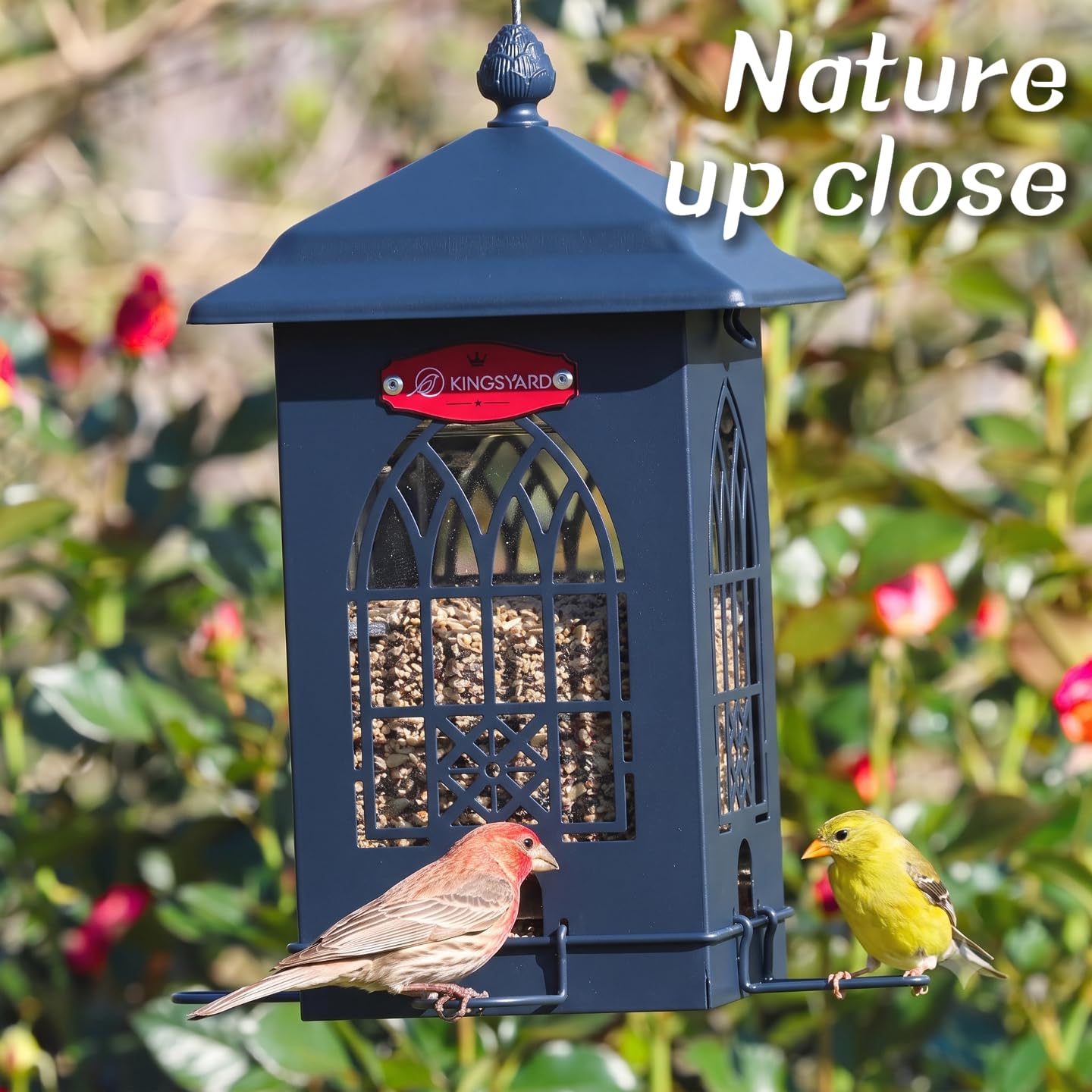 Kingsyard mecanismo de resorte activado por peso que bloquea ardillas