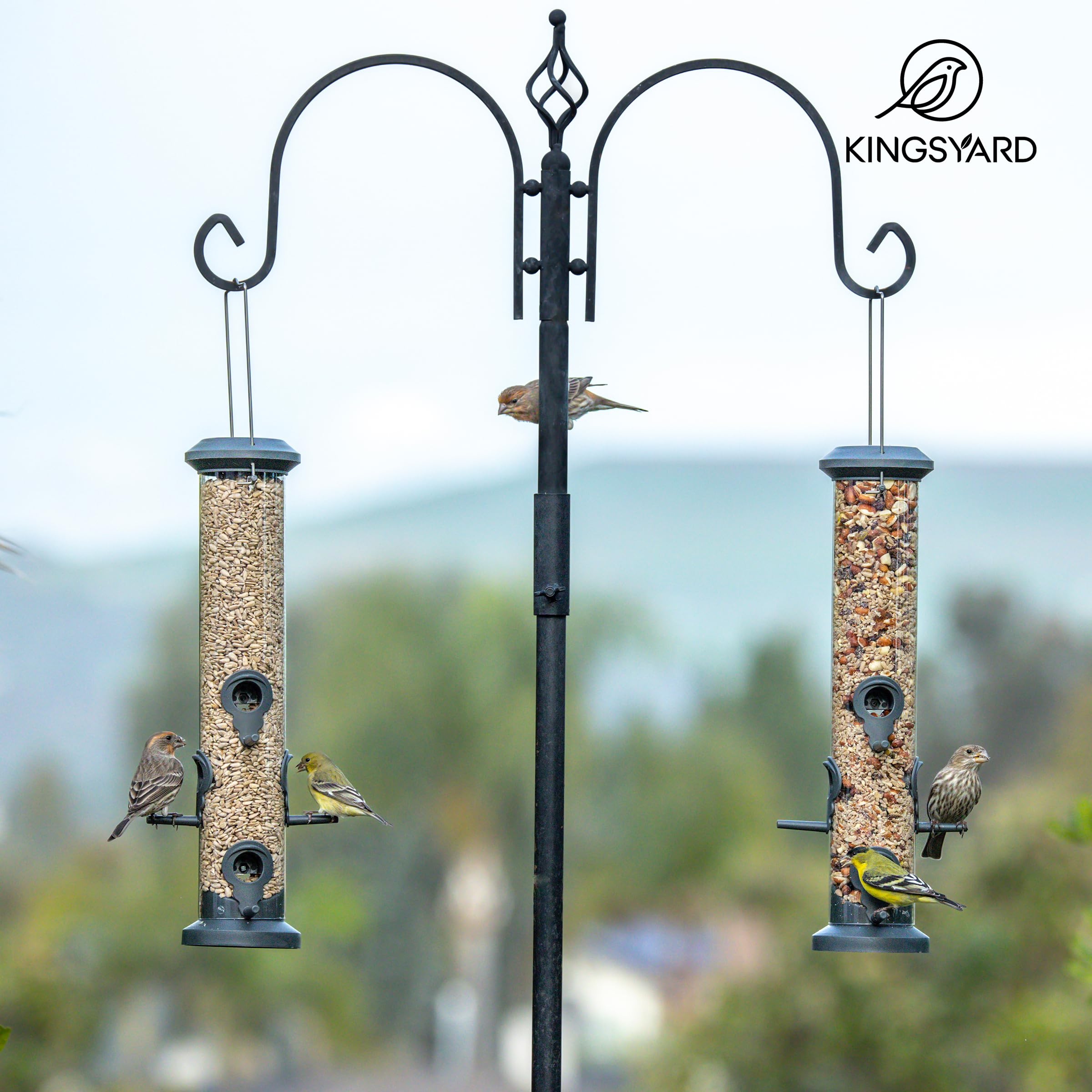 Kingsyard pack de 2 comederos colgados en jardín para mayor cobertura