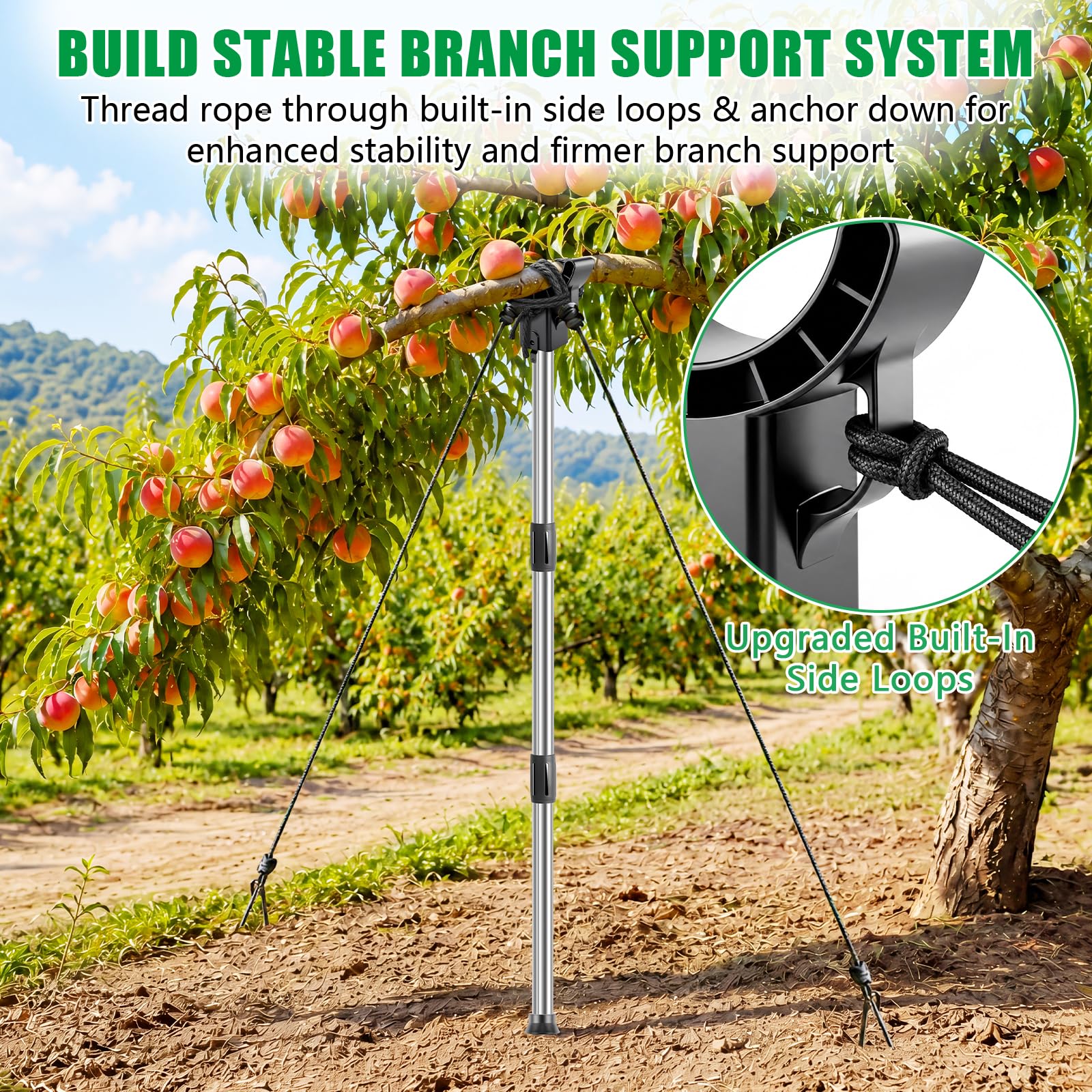 KJX soporte sosteniendo rama fructífera evitando roturas y pérdida de fruto