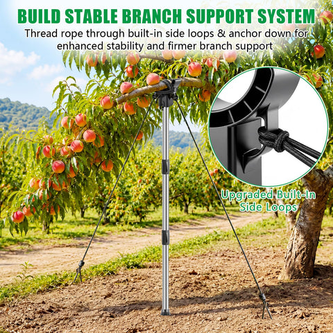 KJX soporte sosteniendo rama fructífera evitando roturas y pérdida de fruto