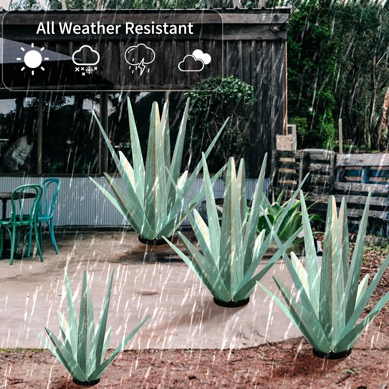 KODIBO agave en patio moderno creando punto focal decorativo