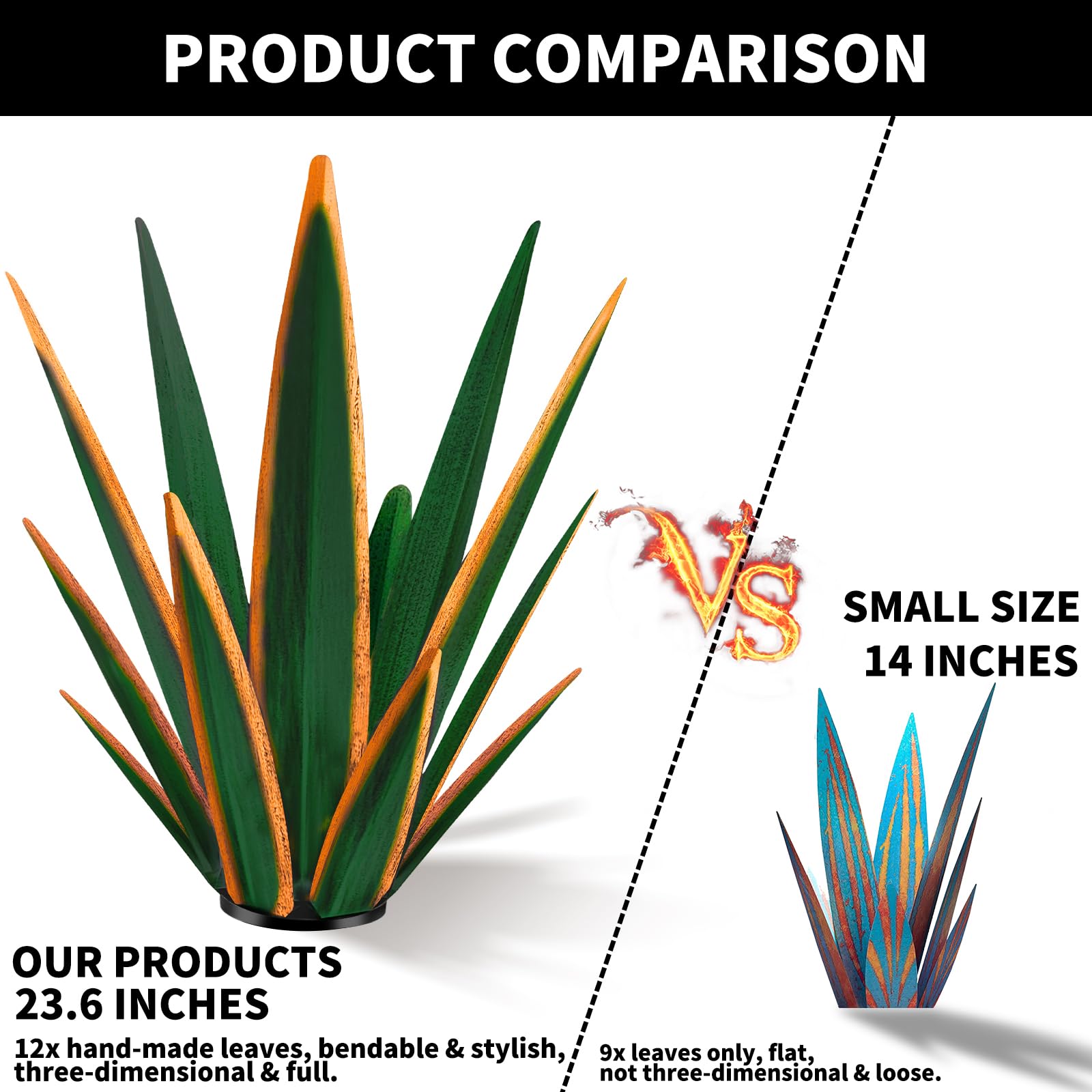 KODIBO agave junto a maceta para referencia de tamaño