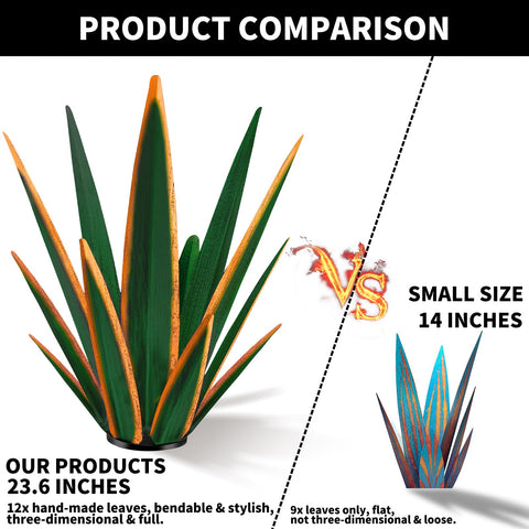 KODIBO agave junto a maceta para referencia de tamaño